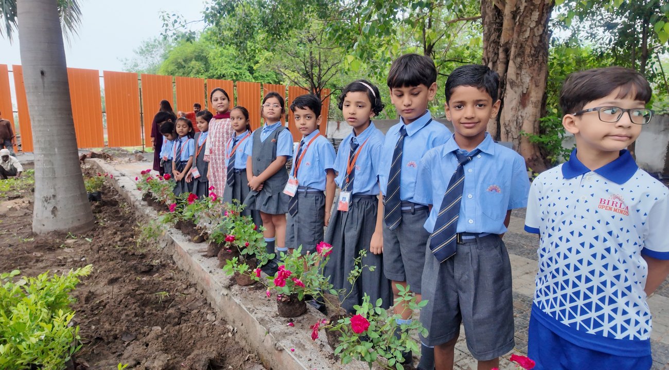 Along the new planting beds, Birla Open Minds International School, Bhopal